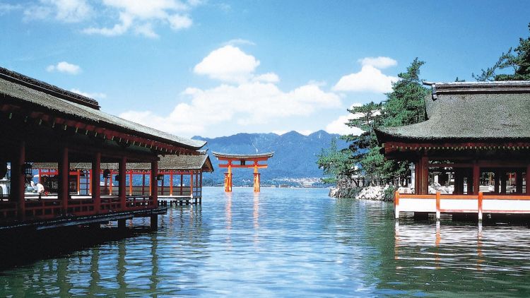 原来这里才是日本人心里最值得去的神社啊... 原来这里才是日本人心里最值得去的神社啊...