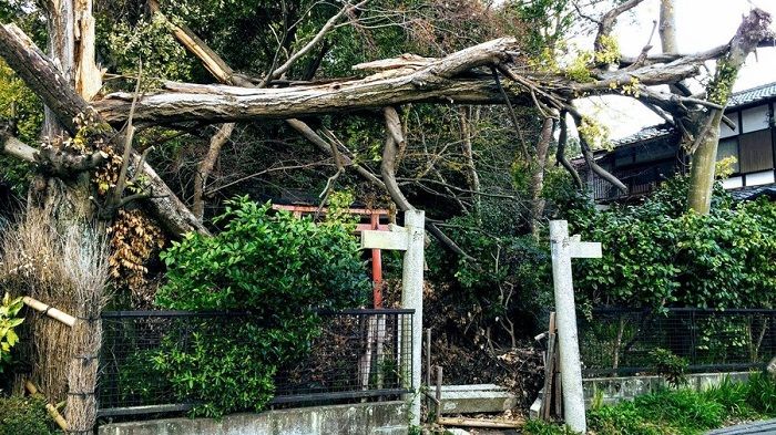 4成寺院恐消失，日本寺庙面临着严峻的经营困境 