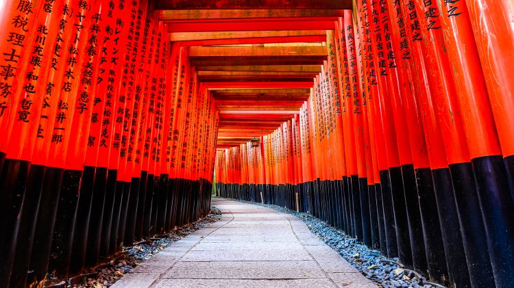 原来这里才是日本人心里最值得去的神社啊...