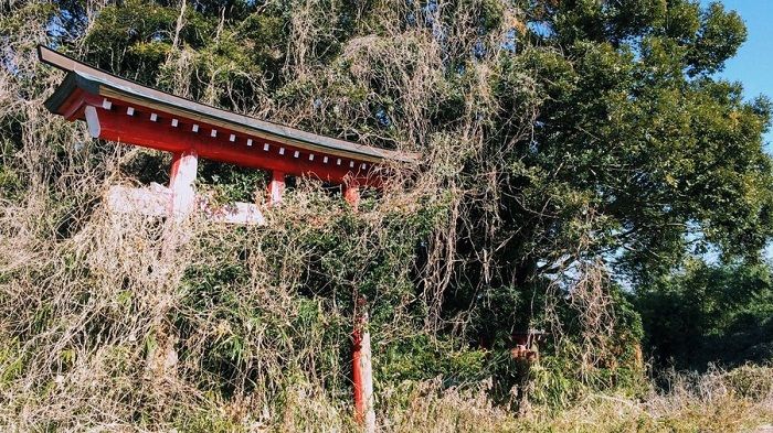 4成寺院恐消失，日本寺庙面临着严峻的经营困境 