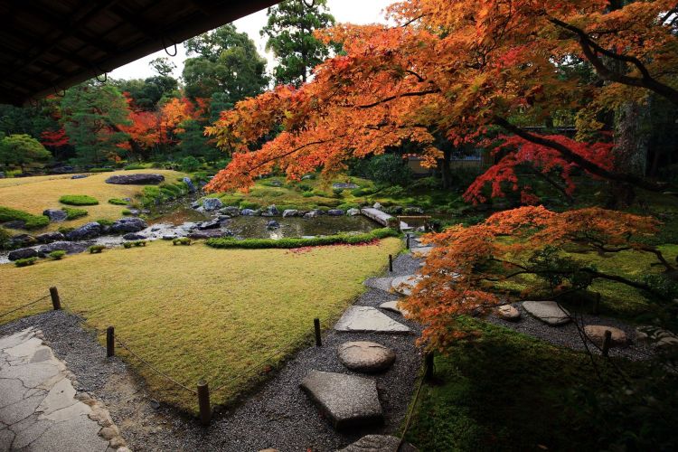 原来这里才是日本人心里最值得去的神社啊...