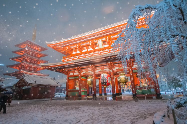 原来这里才是日本人心里最值得去的神社啊...