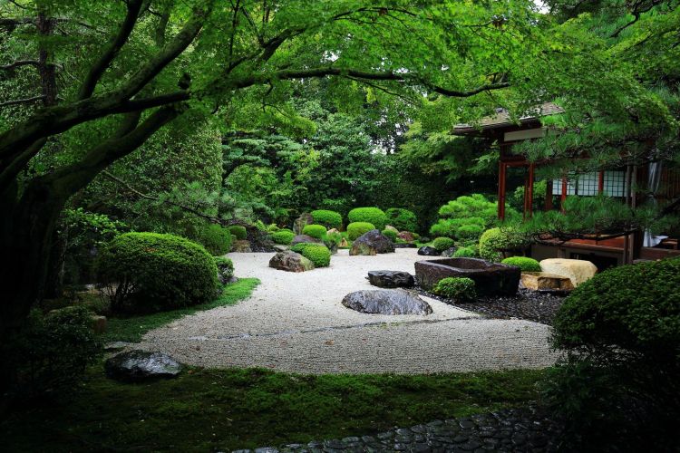 原来这里才是日本人心里最值得去的神社啊...