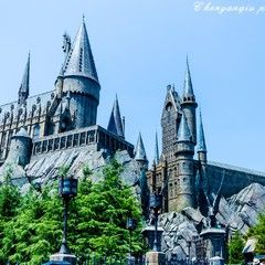 “让心情和胃口尽情享受!”大阪一日游最强计划