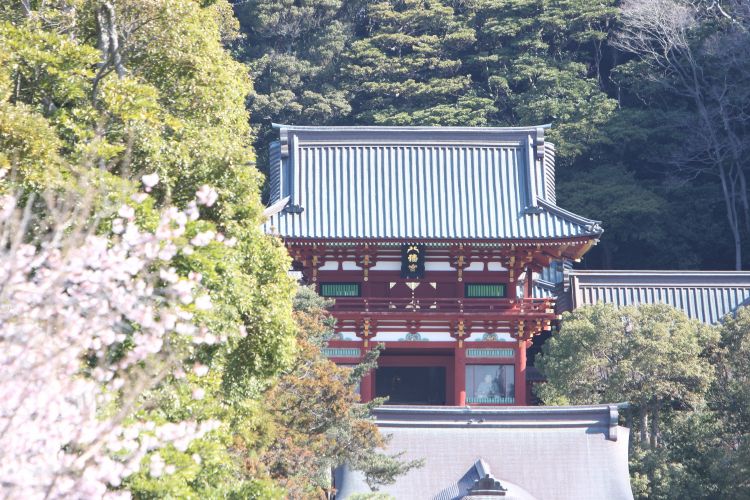 原来这里才是日本人心里最值得去的神社啊...