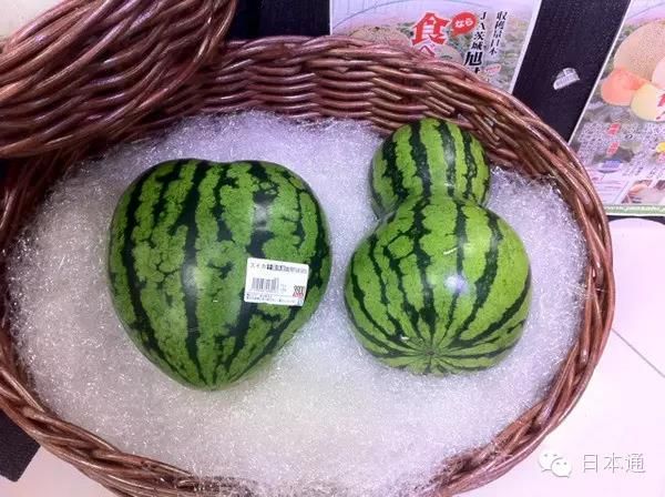 日本人真的吃不起西瓜吗？