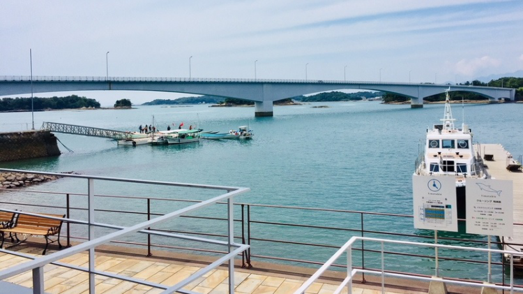 别土了！熊本县除了熊本熊和黑山温泉，还有天草松岛！