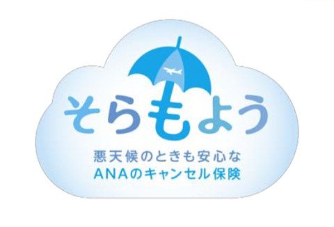 全日空联合东京海上推出恶劣天气退票险