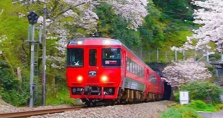 日本地方铁路公司长良川能否通过观光列车实现逆风翻盘？