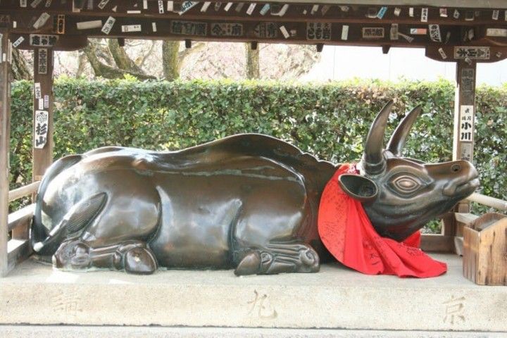 探访日本寺庙和神社中的动物，狐狸、牛、猴子等都是神圣的象征