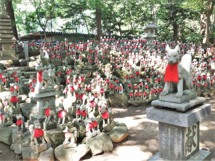 探访日本寺庙和神社中的动物，狐狸、牛、猴子等都是神圣的象征