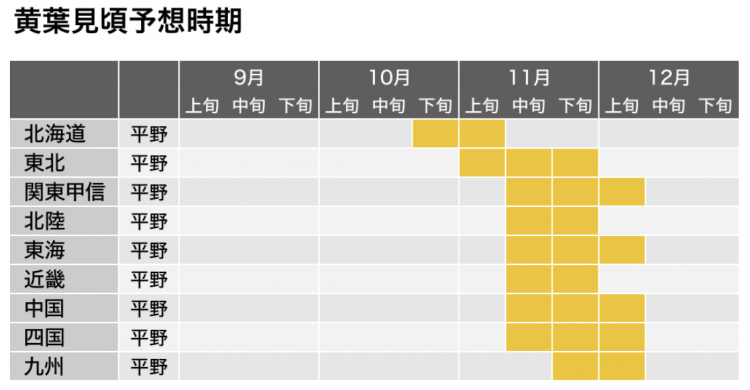 气温持续不降,红叶观赏时间与往年相同或稍晚 气温持续不降,红叶观赏时间与往年相同或稍晚