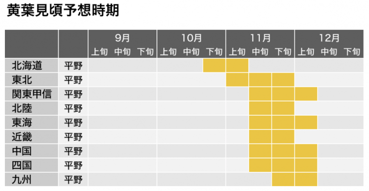 气温持续不降，红叶观赏时间与往年相同或稍晚