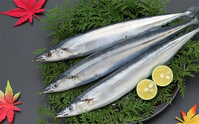 日本秋刀鱼捕货量创历史新低，餐饮行业受到严重影响