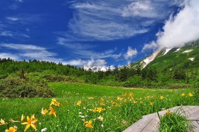 让滑雪场在夏季也焕发生机！长野县“白马岩岳”的复兴之路