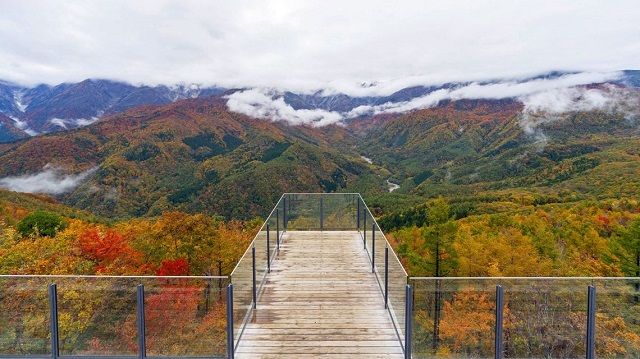 让滑雪场在夏季也焕发生机！长野县“白马岩岳”的复兴之路