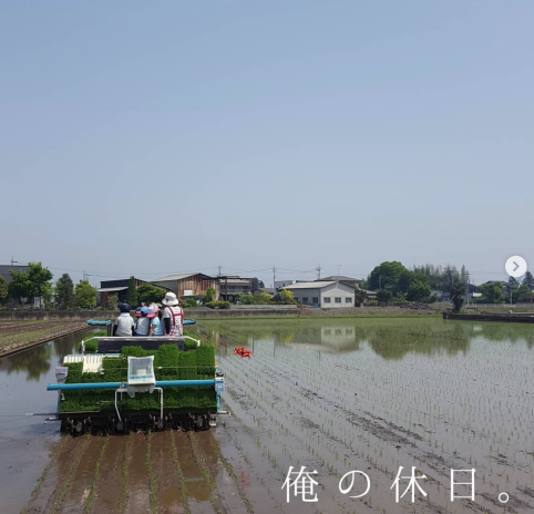 日本爸爸每天为妻子准备便当，圈粉数十万人，看着就超满足啊！