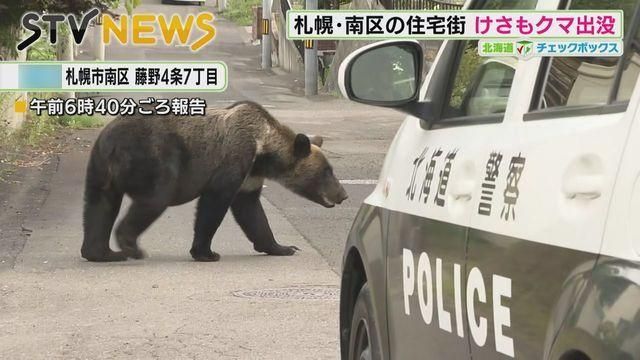 “熊出没”之日本有没有圣母和键盘侠