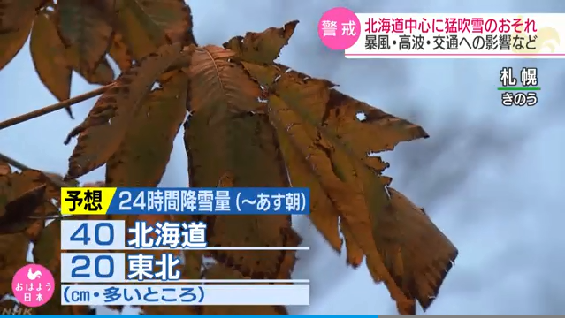 狂风入侵日本北部，暴雪袭击北海道