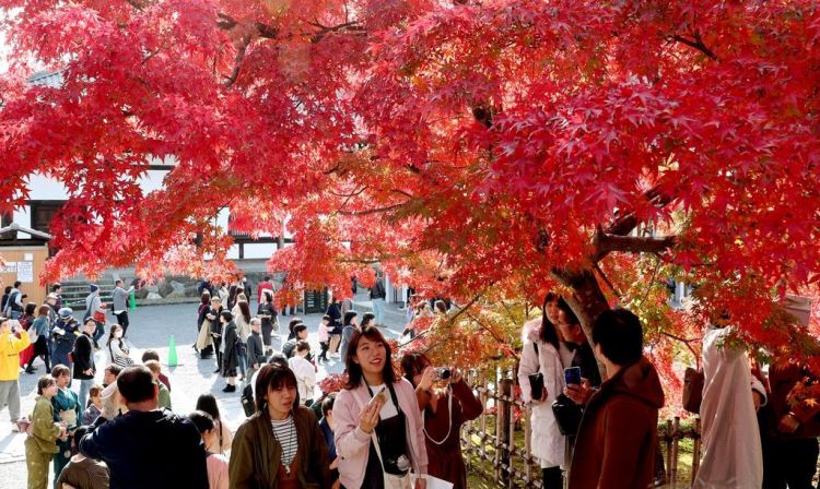 京都：红叶尽染天龙寺