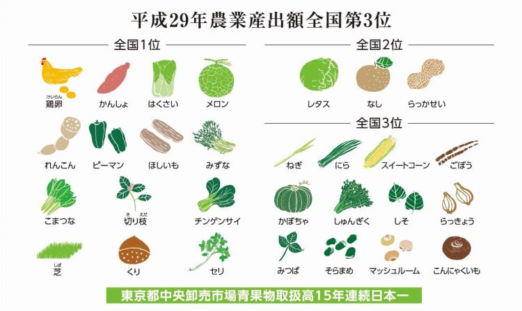 这是日本人最嫌弃的地方，我偏要安利给你