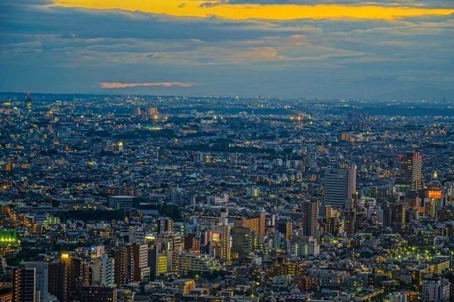 日本劳动力短缺问题堪忧,一半企业正式员工不足 日本劳动力短缺问题堪忧,一半企业正式员工不足