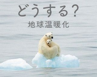 应对全球变暖，日本保险公司得分为0