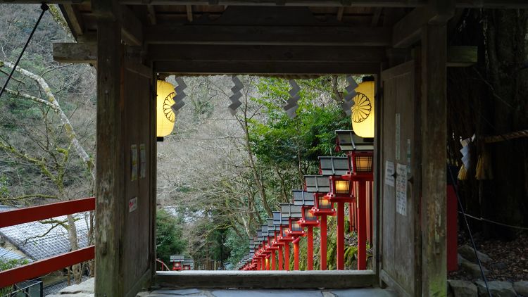 在神社里，日本人究竟会许什么愿？