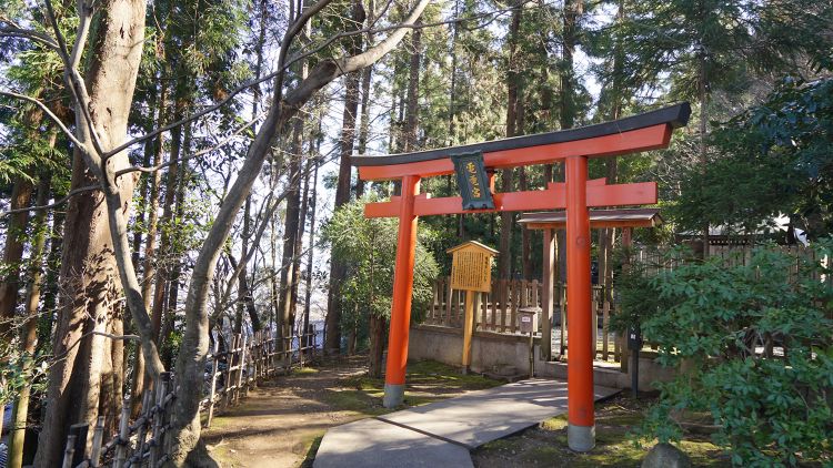 在神社里，日本人究竟会许什么愿？