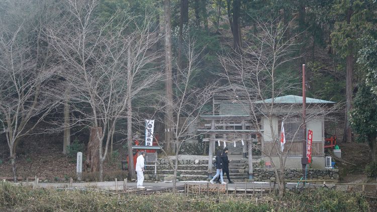 在神社里，日本人究竟会许什么愿？