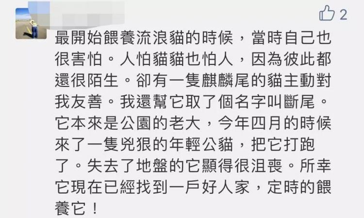 我在东京喂流浪猫：遇过最好的猫，也见过最坏的人