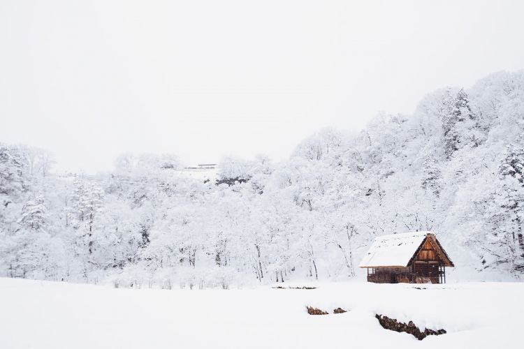 樋口一叶：纷纷细雪如愁思霏霏落下，愁更愁