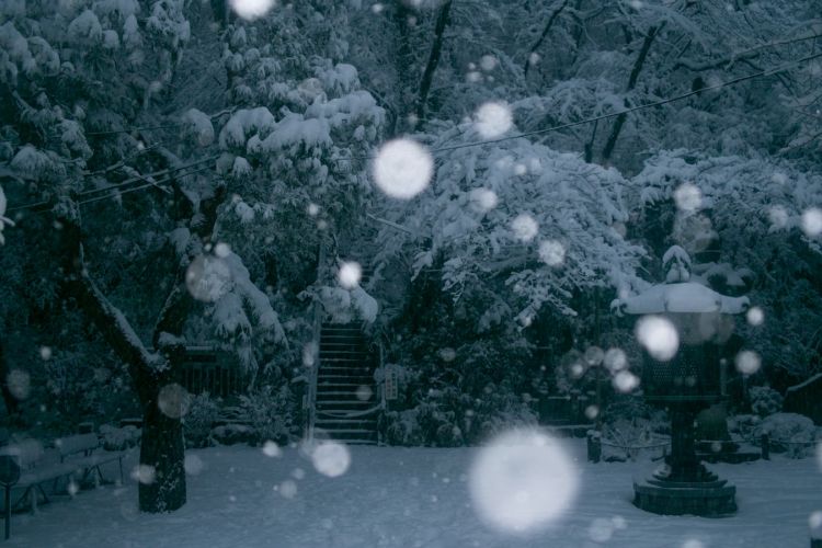 樋口一叶：纷纷细雪如愁思霏霏落下，愁更愁