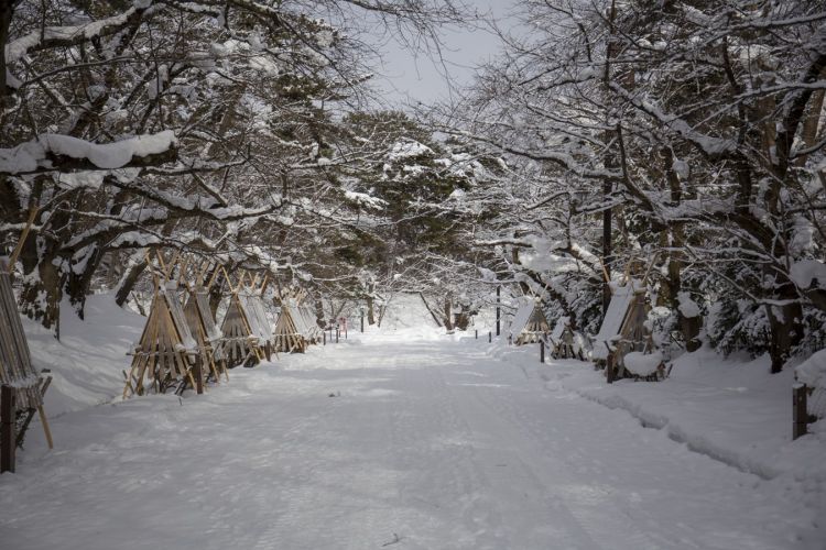 樋口一叶：纷纷细雪如愁思霏霏落下，愁更愁