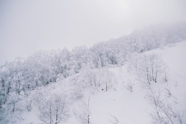 樋口一叶：纷纷细雪如愁思霏霏落下，愁更愁