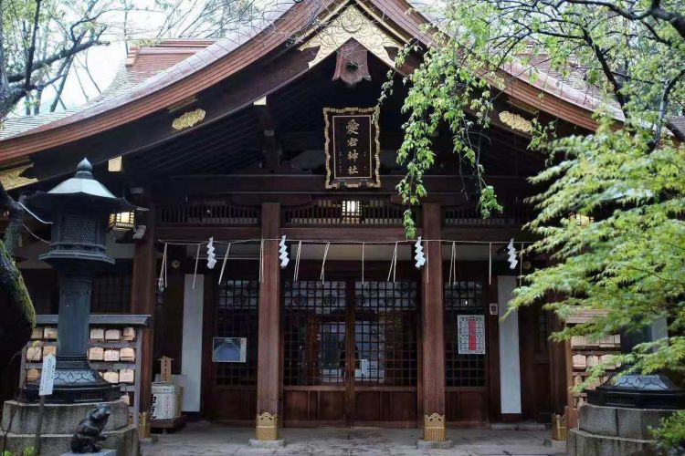 神明果然爱现金？多家神社取消无现金支付方式