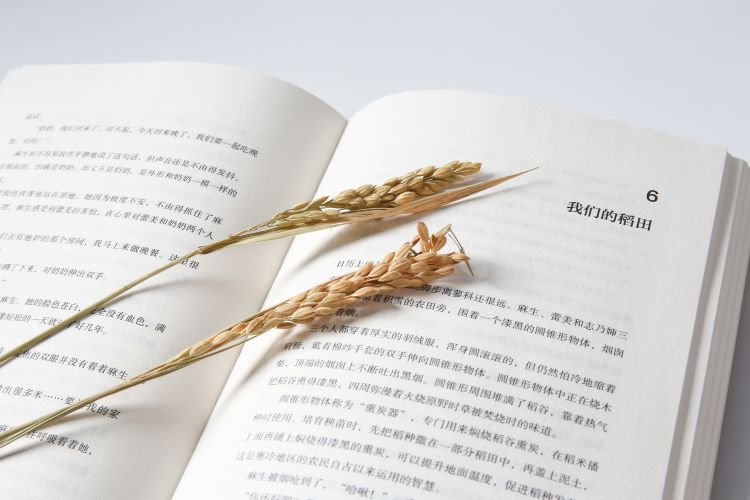 被霸凌、被欺侮、被羞辱…面对人生晦暗，看看他的“日式生存之道”