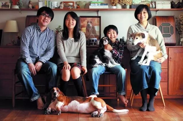 最温暖治愈的日本，藏在这五个摄影师的镜头里