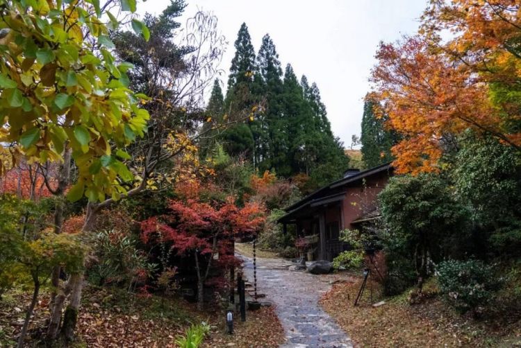 遭遇差评的寿司之神，和再次刷屏的日本高中足球大会决赛