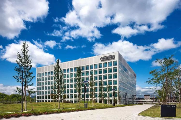 投资失败没跳楼的他，干出了牛逼的任天堂