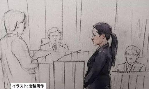 沢尻英龙华或被索赔20亿日元，检方称其19岁开始吸毒