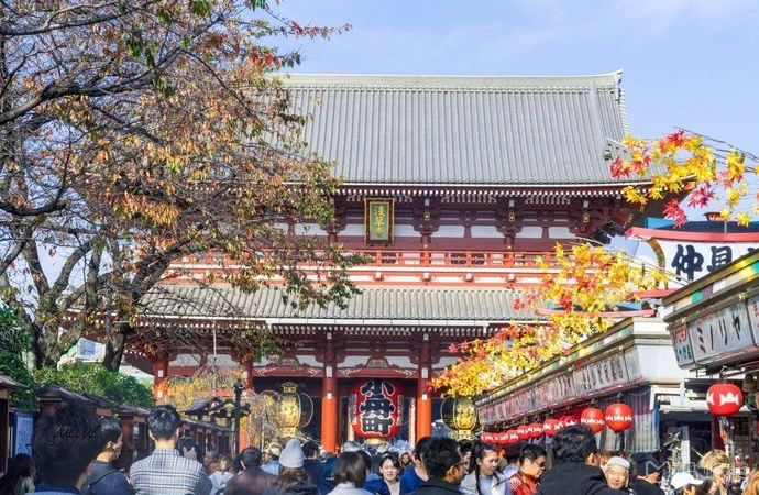 日本旅行住哪里？新手东京自由行住宿攻略