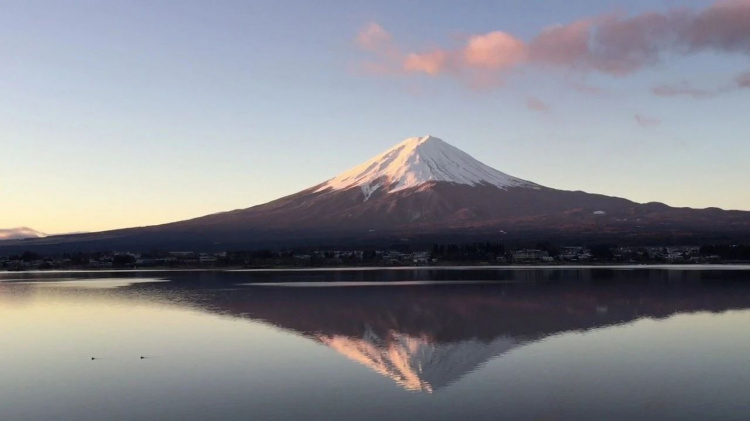 日本旅行住哪里？新手东京自由行住宿攻略