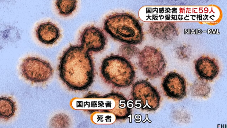 日本昨日新增59例新冠肺炎确诊病例，多地出现群体聚集感染，国内确诊升至565人
