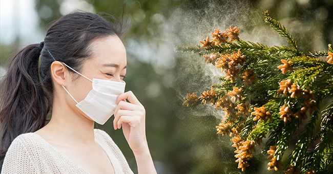 花粉症不应成日本新冠肺炎的“背锅侠”