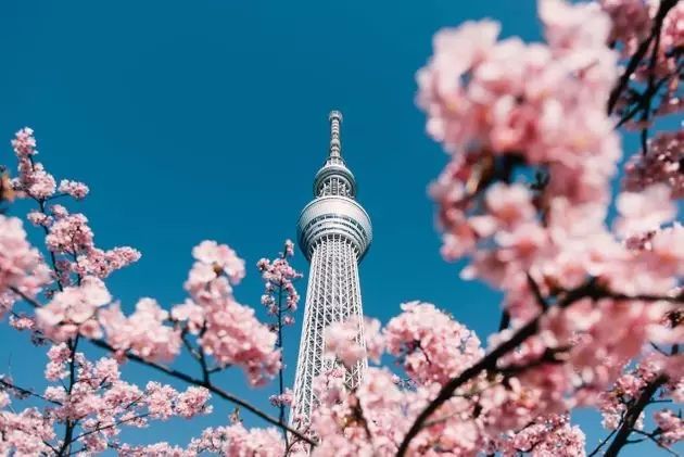 变危机为契机，日本在书写自己的抗疫模式