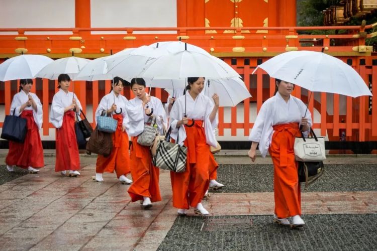 在日本当巫女的中国人