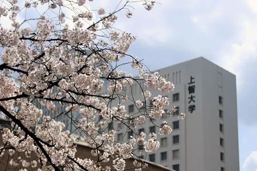 考上日本名牌大学却不能入学的湖北女孩