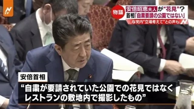 日本第一夫人翻车简史