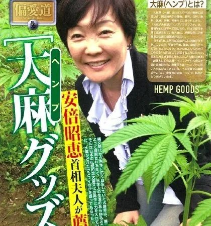 日本第一夫人翻车简史